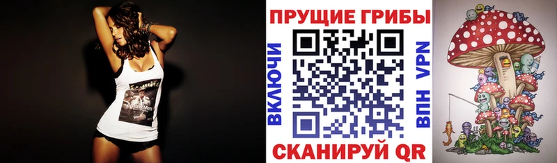 купить Пенза Галлюциногенные грибы Magic Shrooms