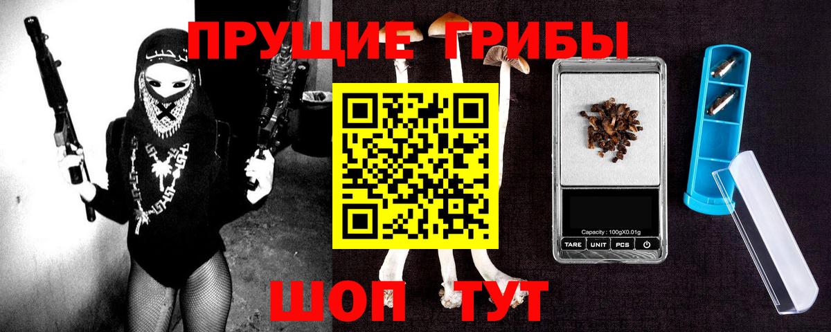 Псилоцибиновые грибы MAGIC MUSHROOMS  Галлюциногенные грибы Psilocybine cubensis  Пенза 