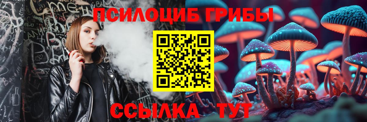 Псилоцибиновые грибы ЛСД  Псилоцибиновые грибы мицелий  Пенза  Вход с VPN 
