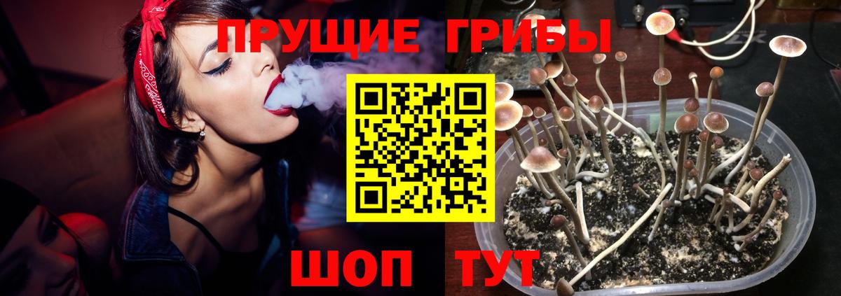 Галлюциногенные грибы ЛСД Пенза