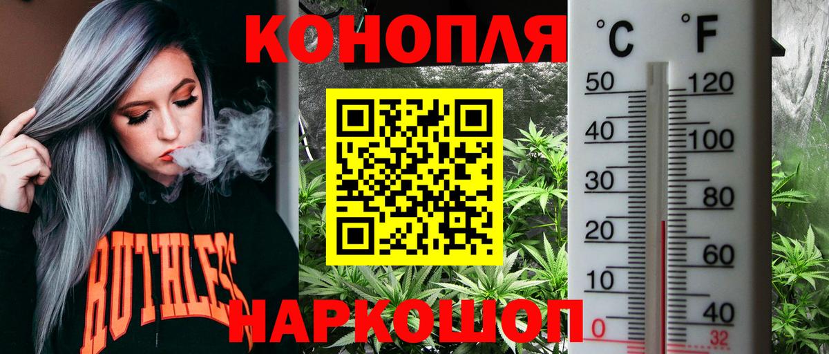 Бошки Шишки сатива Пенза